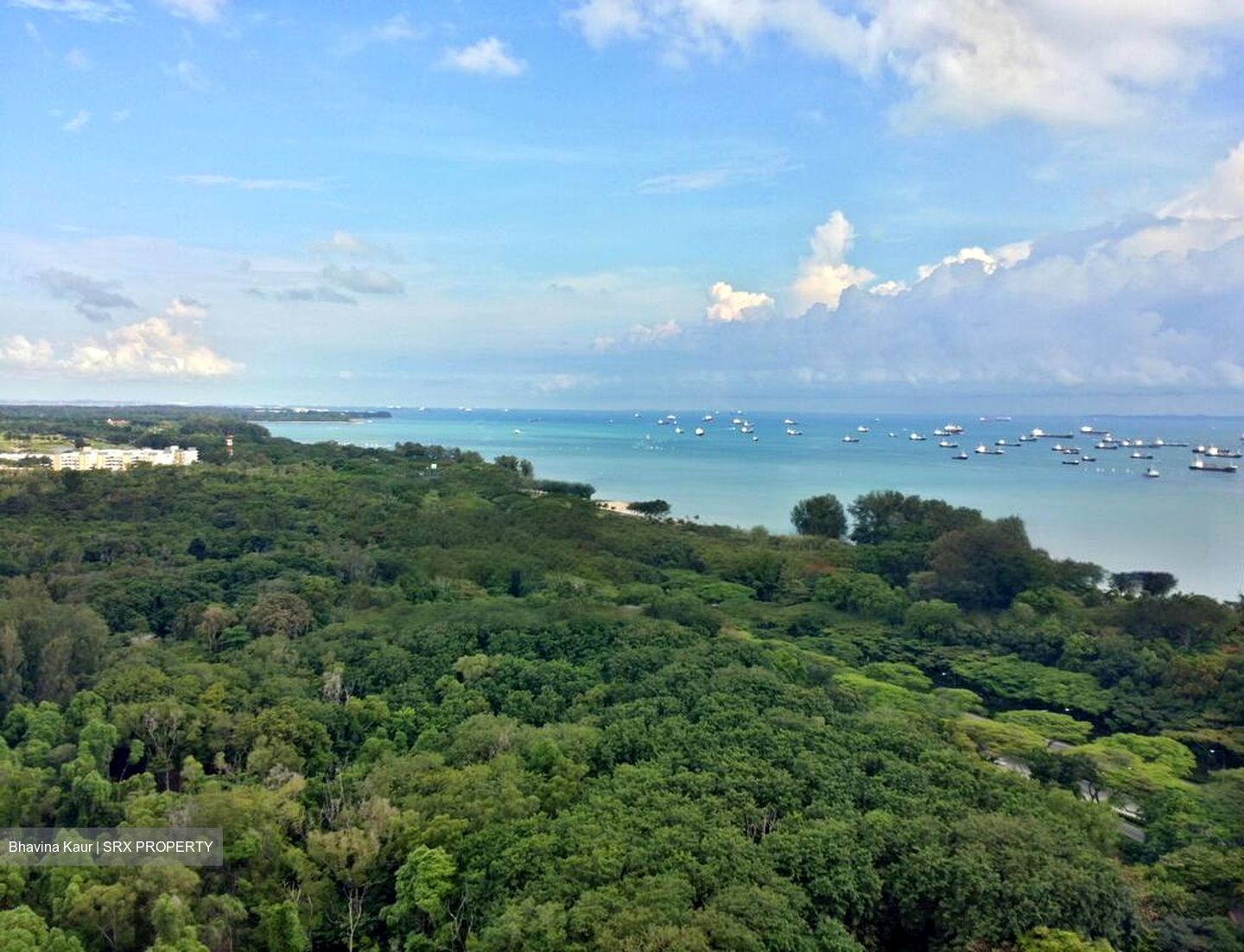 The Bayshore (D16), Condominium #481631581